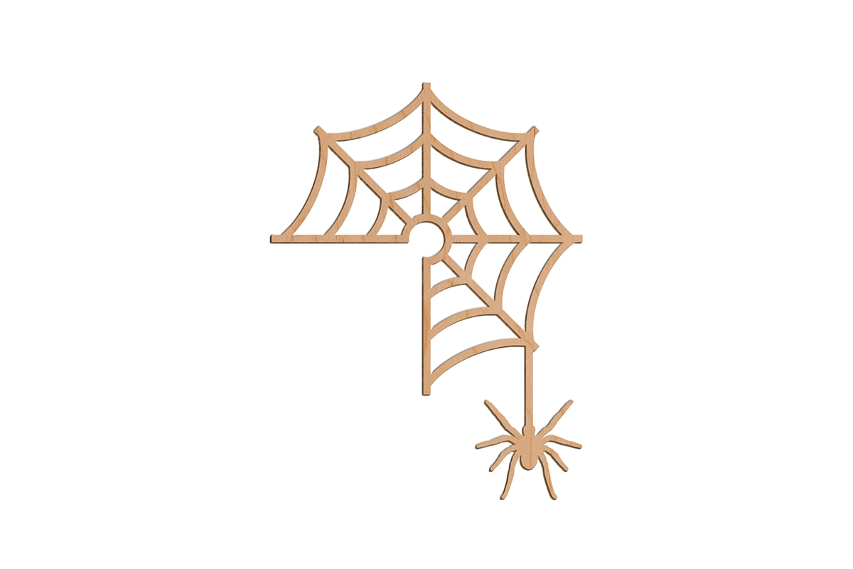 Spider Web with Hanging Spider